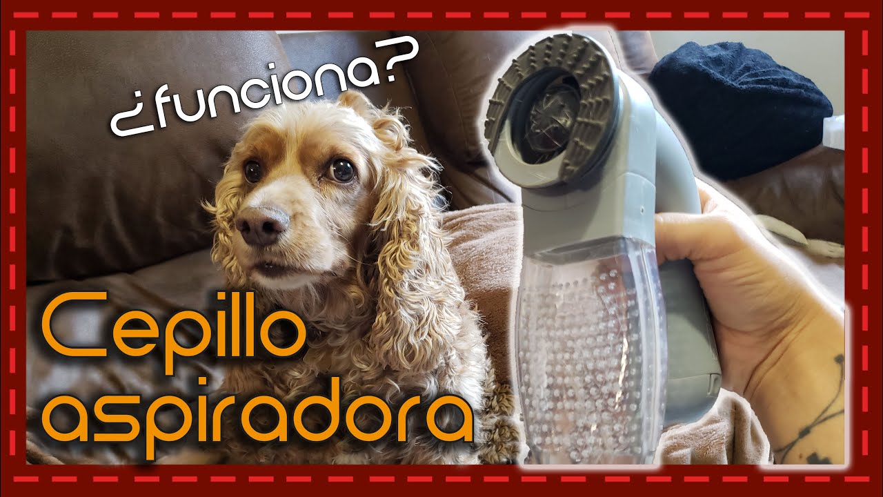 itálico Pelmel al exilio Conoce a: Cepillo aspiradora para pelo de perro - YouTube