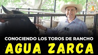 Conociendo los toros de Rancho Agua Zarca de Huitzuco Guerrero