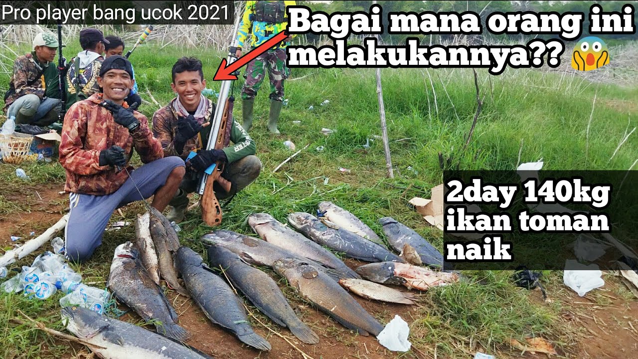 Rekor 2021... 11monster toman jatigede berhasil di naikan bang ucok dan tim