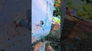 Ha Hacılar Köyünde Ömer Dede Ziyaretine Su Getirildi