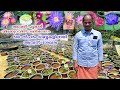 ബസ് കണ്ടക്ടർ ആയ ഹരിദാസേട്ടന് ആമ്പലുകളോടും താമരകളോടും ഉള്ള പ്രിയം ഇന്ന് ജീവിതമാർഗ്ഗം