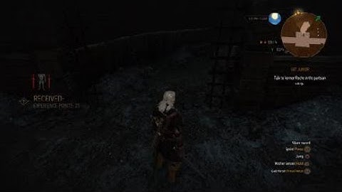 The Witcher 3: Wild Hunt – Hidden Messages Of a Nilfgaardian Kind