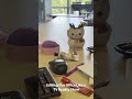 Life at SEW.ai - Inside Our Utility Tech HQ | Team Culture &amp; Innovation