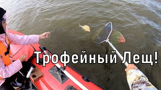 Катюха ловит трофейных лещей на кольцо by Shus Fishing 255 views 8 months ago 35 minutes