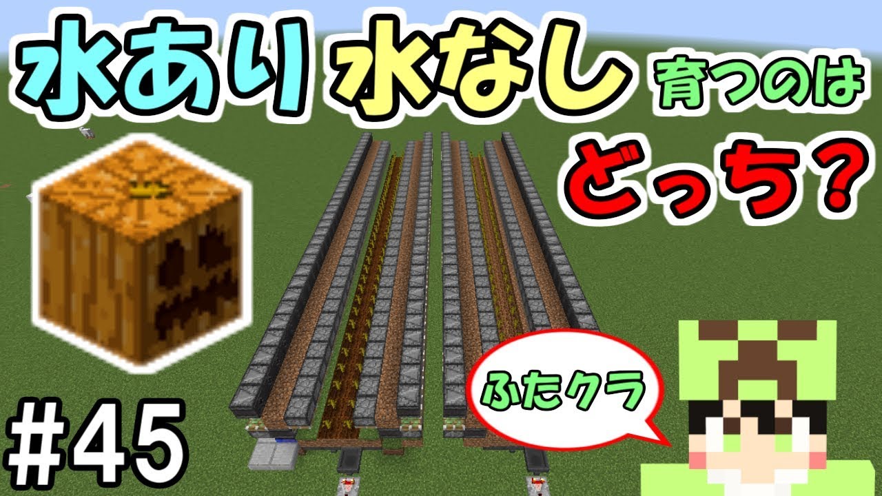 ふたクラ 45 ガチ検証 カボチャって結局のところ水があったほうがいいの ふたばのマインクラフト マイクラ実況 Youtube