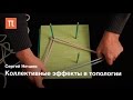 Актуальная математика: Коллективные эффекты в топологии