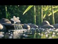 Peaceful Piano Music Gentle Water Sounds For Sleep Meditation Relaxing And Peaceful Moments Peaceful Piano Music Gentle Water Sounds For Sleep Meditation Relaxing And Peaceful Moments