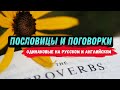 13 английских пословиц и поговорок схожих с русскими. Языковые Параллели