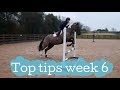 A simple showjumping exercise!  Horse riding Top Tips Week 6!