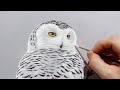 Snowy Owl | Acrylic Painting