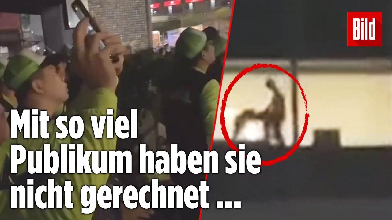 Pärchen hat Sex im Hotelzimmer - und auf der Straße Pärchen hat Sex im Hotelzimmer - und auf der Straße