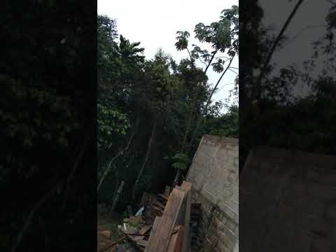  Mais uma novidade na ceva.