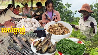 ថ្ងៃនេះ សុទ្ធតែរបស់ឆ្ងាញ់ ម្ហូបពិសេសធ្វើញ៉ាំនៅចំការ