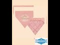 Two Sided Bandana - Princess Bandana