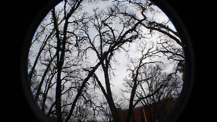 Pringle Park: Salem, Oregons Hanging Grounds and t...