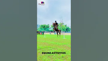 Horse Riding Classes At Floreto World School Students StudentSuccess Horseriding School 