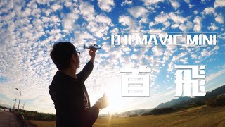 【空拍短片】DJI Mavic Mini 首飛 X 北投復興崗 | Brave Studios