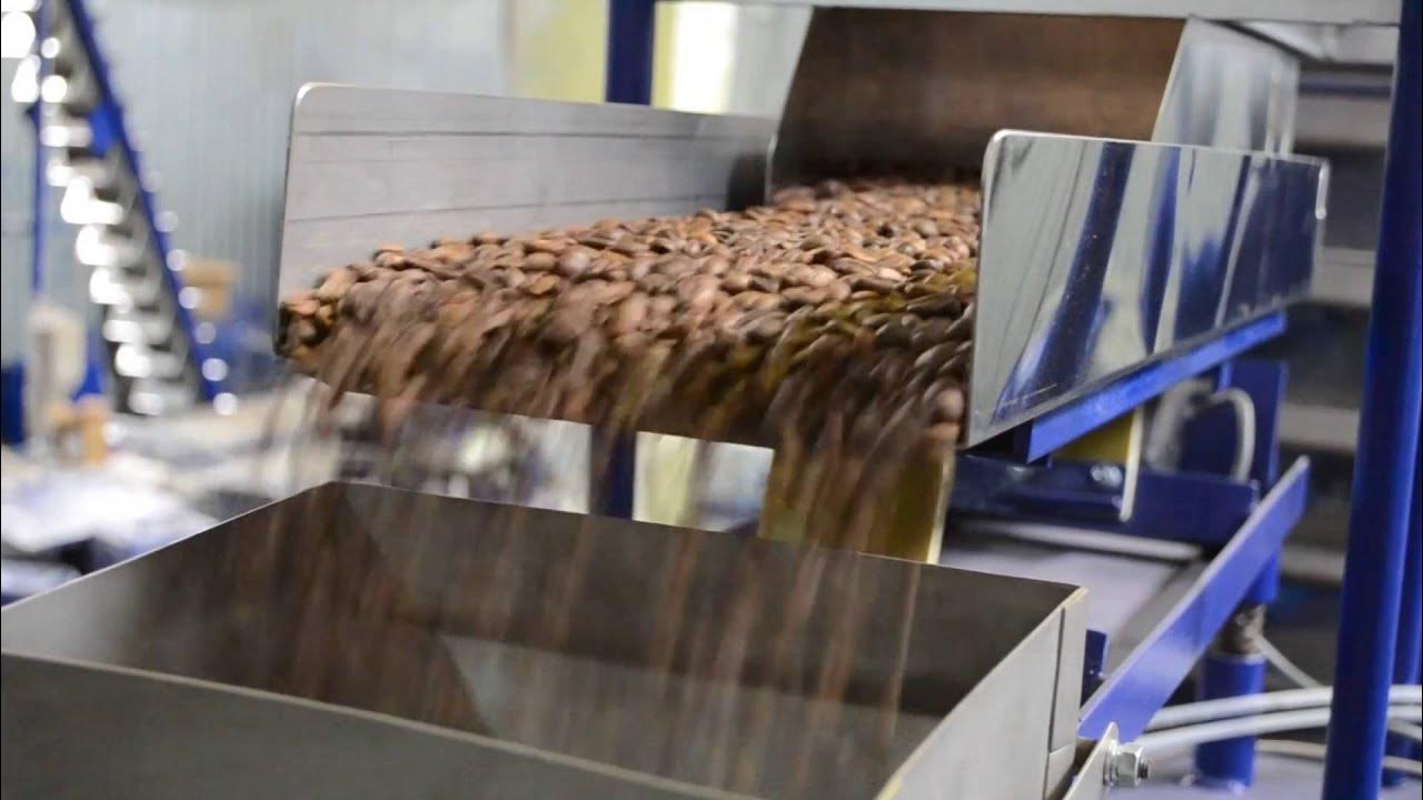 Фасовочно- упаковочный автомат лфу-05-16-11. Кофе производители. Фасовка кофе. Расфасовка кофе. Фасовка кофе в пакеты.