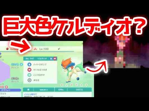 ポケモン剣盾 色違いキョダイマックスケルディオ襲来した話 廃ポケ回収 Youtube