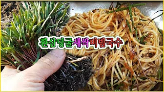 새싹비빔국수