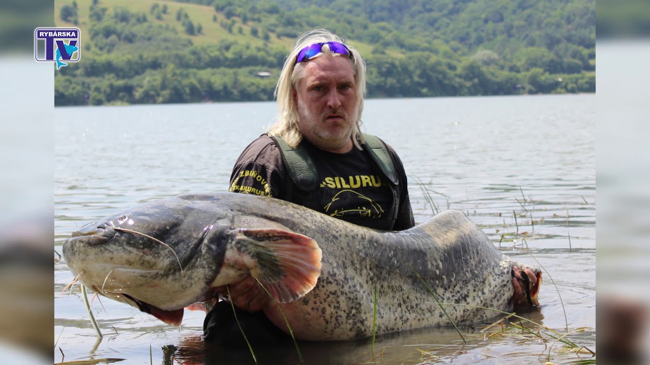 Rybárska Televízia  - Lov sumca vo VN Domaša - Erik Zbiňovský a Patrik Švajda