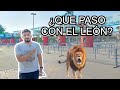 Recorrí el PARQUE DE LAS LEYENDAS en esta Nueva Normalidad 2021| se ESCAPO el León?🦁😥