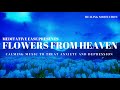 🌹 Flowers from Heaven | Calming Music to Treat Anxiety, Stress and Depression | Meditative Ease