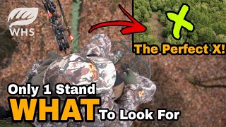 How To Find The Perfect Treestand Location