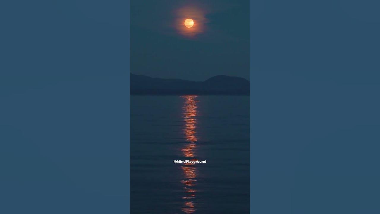 рикардо между нами города рингтон. рикардорикардо ммилос. Riccardo фото. рикардо милос 2023. обложка для трека.