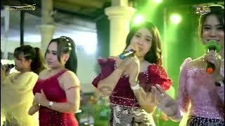 Pspm Musik Salam Pambuko  Terbaru All Artis
