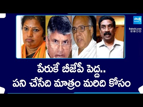 AP BJP Chief Purandeswari Works For Chandrababu | AP Elections | Magazine Story | @SakshiTV - SAKSHITV