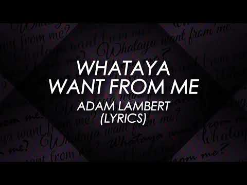Adam Lambert - Whataya Want From Me (Lyrics) (21C Lyrics)