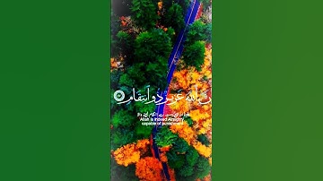 সূরা আন নিসা (سورة النساء, Sūratu an-Nisā, অর্থ "মহিলা") আন নিসা সূরাটি মদিনায় অবতীর্ণ হয়েছে।