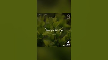{يوم نطوي السماء..} #سورة_الأنبياء #ماجد_الحازمي #جامع_المهنا #تلاوات_خاشعة #حالات_واتس #quran