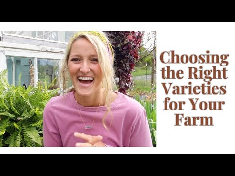 Choosing the RIGHT varieties for your farm / Why It Matters