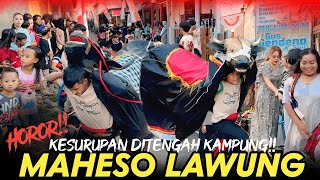 BANTENGAN MAHESO LAWUNG MBEROT KERASUKAN DEMIT LERENG GUNUNG DI DESA GLAGAHDOWO!!
