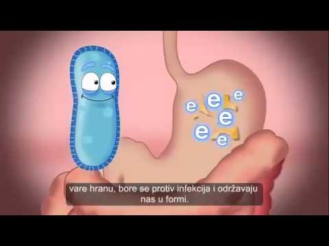Probiotici - Dobre Bakterije