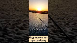 канал про рыбалку и не только, поддержите подписочкой #рыбалка #carpfishing #fishing