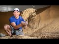 Everything About Grain Bins (Farmers are Geniuses) - Smarter Every Day 218