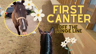 FIRST CANTER!!! BEST RIDE EVER | GORPRO RIDE WITH ME