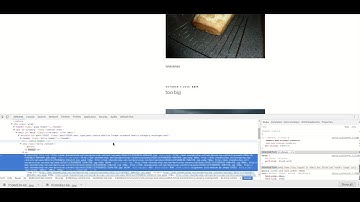 Testing WebP Setup with EWWW Image Optimizer