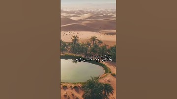 استمع الى القران الكريم 60 ثانيه و اكسب الاجر 😇❣️🌹
