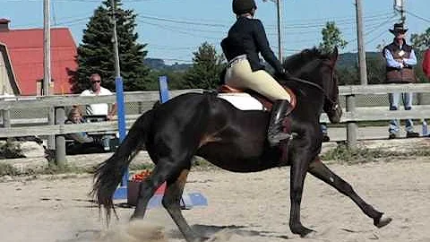 Trent OUEA show 2009 - Michelle Laughlin (Intermed...
