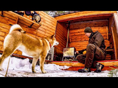 Видео: 24 ЧАСА В ЛЕСУ С РЫЖИМ ЗВЕРЕМ - ИЗБА | Лесная КУХНЯ | Бушкрафт