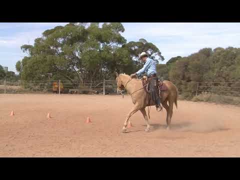 Short Serpentines to help Fast Horses - Horse Riding Lesson with Steve Halfpenny