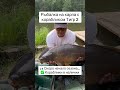 Рыбалка на карпа с прикормочным корабликом Тигр 2 GPS автопилот ✅ #корабликдлярыбалки в наличии