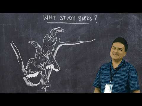 ಮೂಲ ಪಕ್ಷಿವಿಜ್ಞಾನ: ಪಕ್ಷಿಗಳನ್ನು ಏಕೆ ಅಧ್ಯಯನ ಮಾಡಬೇಕು?