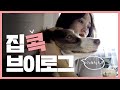 SUB)니콜 Vlog l 집콕하며 보내는 하루 일상! 치킨수프 + 유튜브 번역하기