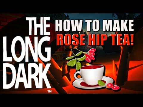 How to make ROSE HIP TEA | The Long Dark