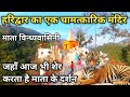 Mata Vindhyavasini Mandir Haridwar | इस मंदिर में शेर आकर करता है माता के दर्शन | Haridwar Temple